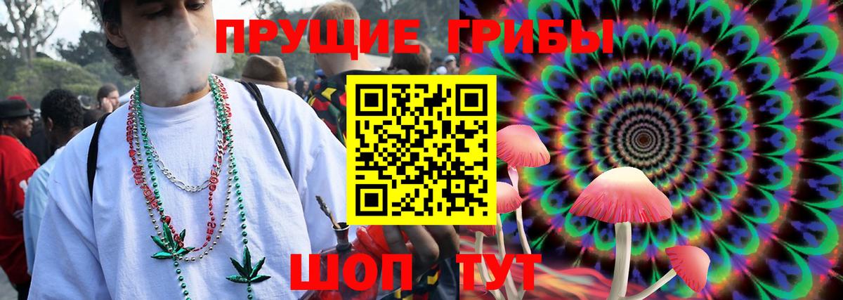 Новосибирск  Псилоцибиновые грибы мицелий  Галлюциногенные грибы Cubensis  Вход с VPN 
