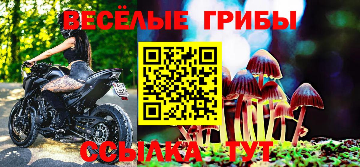 Галлюциногенные грибы Magic Shrooms Новосибирск