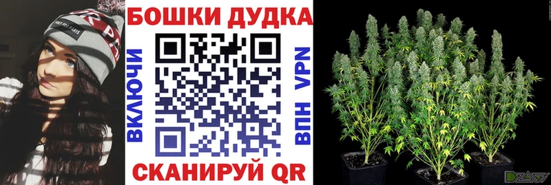 Конопля семена Новосибирск