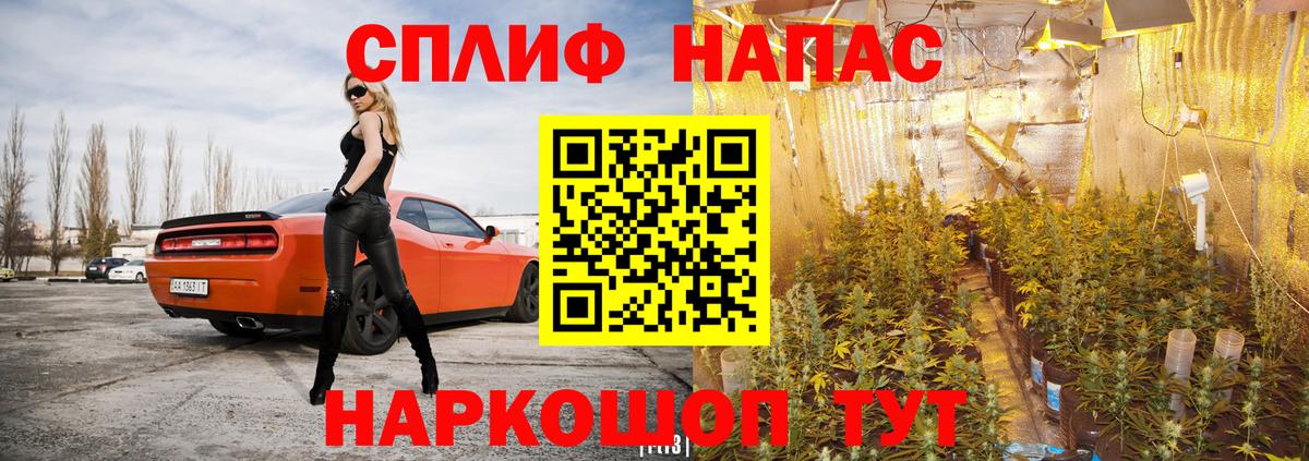 Канабис планчик  Бошки Шишки SATIVA & INDICA  Канабис индика  Новосибирск  Вход с VPN 